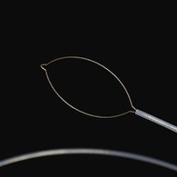 Jenis Lapisan Awak Asing