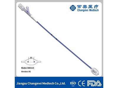 Analisis aliran prosesoris endoskop