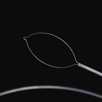 Pasukan Tubuh Asing Jenis Jaw